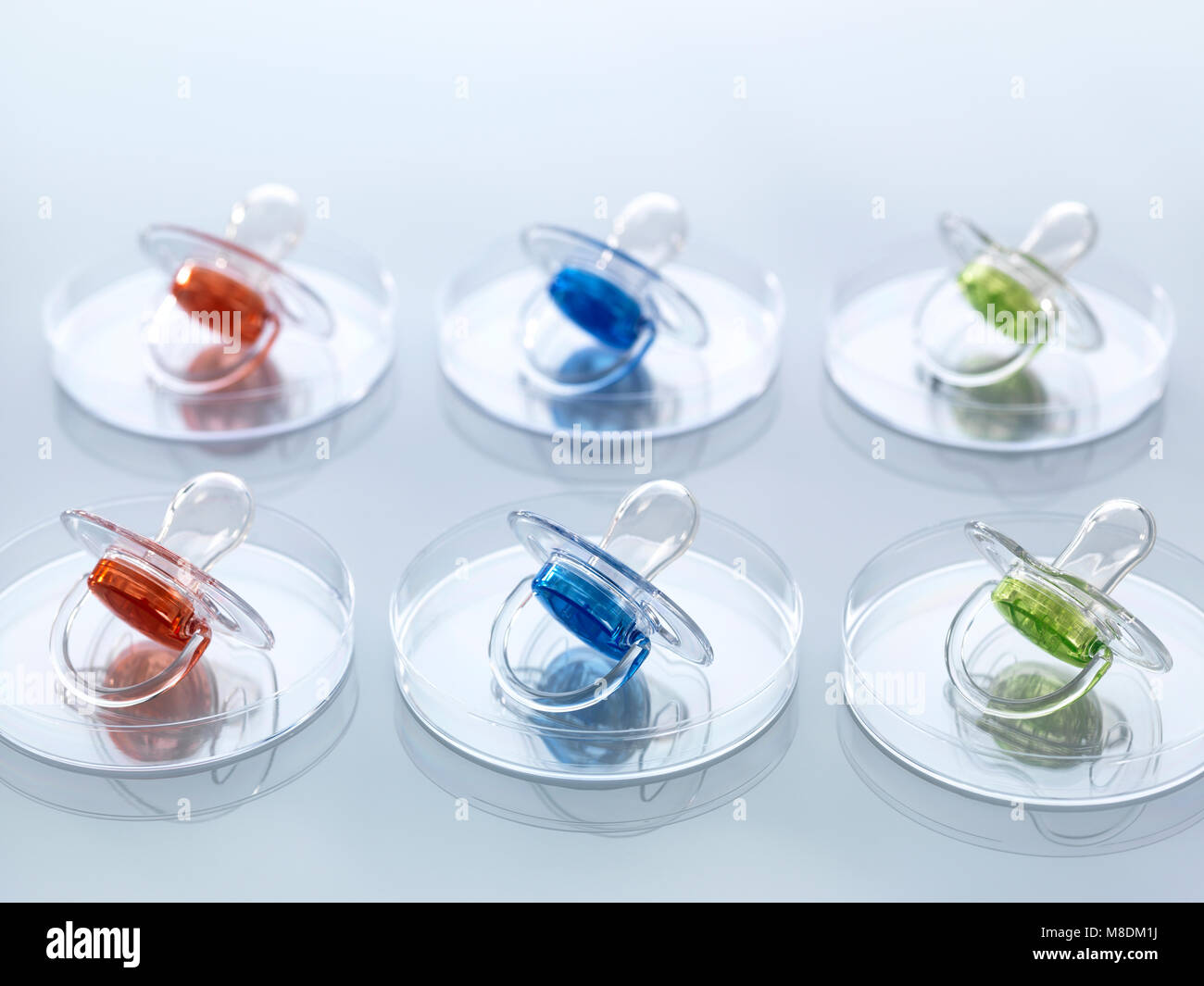 Le clonage scientifique, une série de modification bébés illustré par sucettes bébé dans des boîtes de Petri Banque D'Images