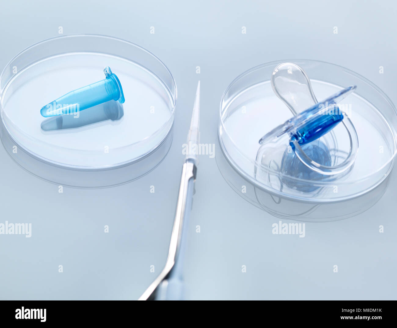 Le clonage scientifique, expérience génétique à la pipette la modification et la création d'échantillons d'ADN nouvelle vie in petri dish Banque D'Images