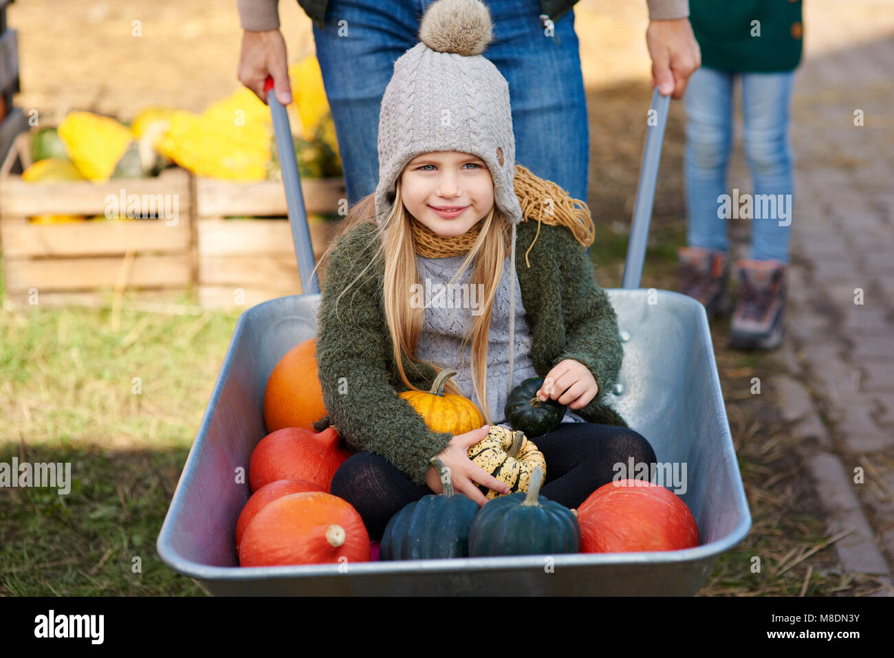 Portrait de jeune fille dans une brouette avec des citrouilles à Pumpkin Patch Banque D'Images