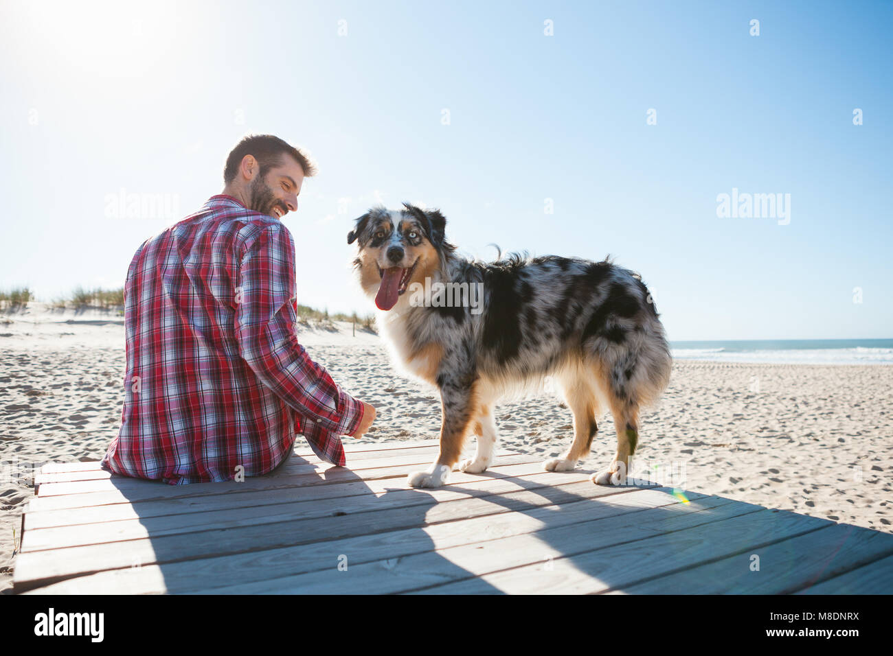 Man sitting on beach boardwalk with dog Banque D'Images