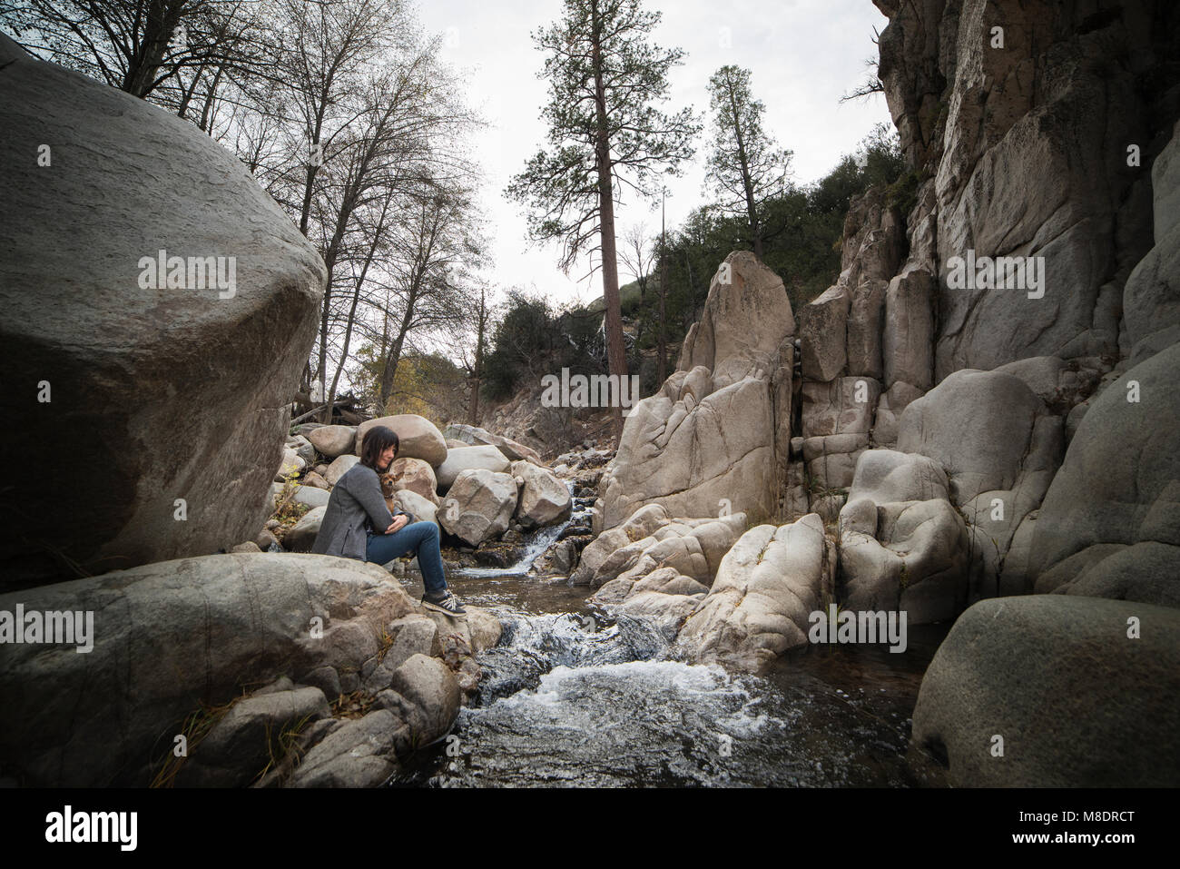 Femme et chien assis par river, Lake Arrowhead, California, USA Banque D'Images