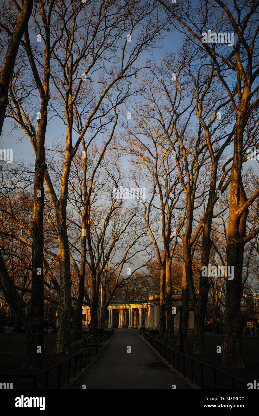 Coucher du soleil la lumière sur les arbres de Monseigneur McGolrick Park, à Brooklyn, New York City, en avril 2013. Banque D'Images