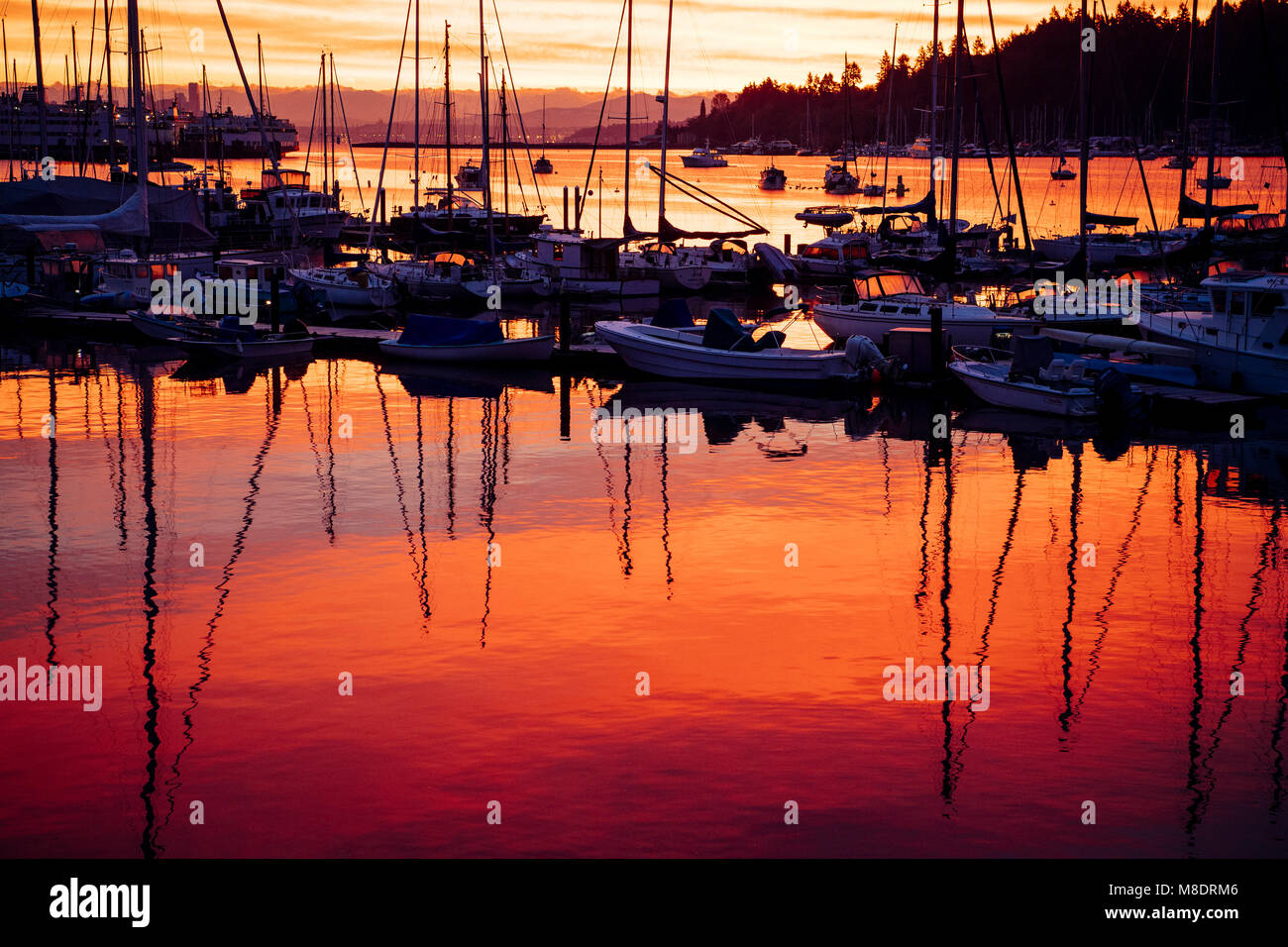 Bateaux dans port au coucher du soleil, Bainbridge, Washington, USA Banque D'Images