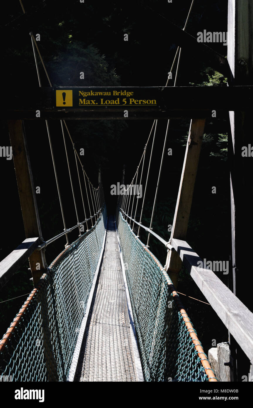 Le Pont Suspendu de Ngakawau le long de la magnifique promenade du ruisseau charmant, le pont de chargement est pour 5 personnes. Banque D'Images