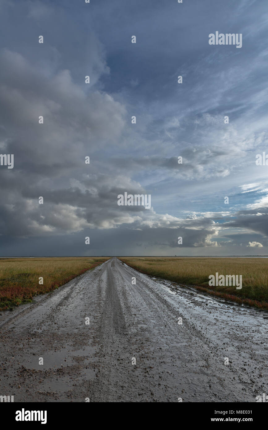 Route de la boue de la terre ferme à la mer du Nord de l'île ou Mandae Mandoe, Ribe, Jutland, Danemark, Scandinavie Banque D'Images