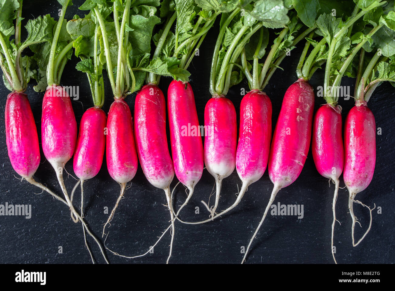 Radis frais, légumes bio de l'agriculture locale sur fond noir Banque D'Images