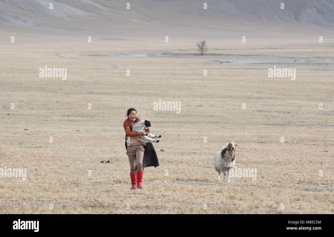 Hatgal, la Mongolie, le 3 mars 2018 : fille mongole avec son animal de moutons dans une steppe de Mongolie du Nord Banque D'Images