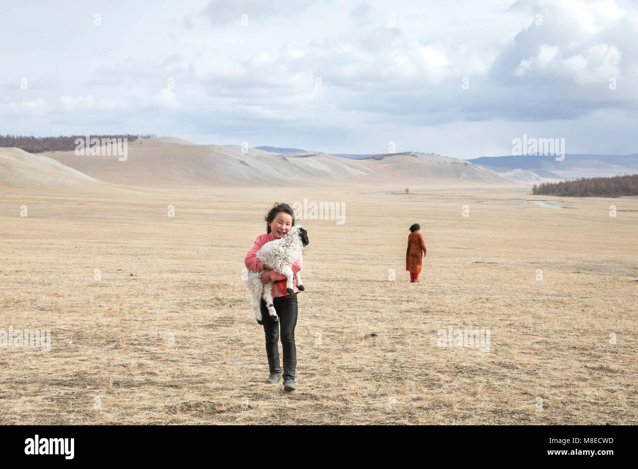 Hatgal, la Mongolie, le 2 mars 2018 : les filles de Mongolie avec leur animal de moutons dans une steppe Banque D'Images