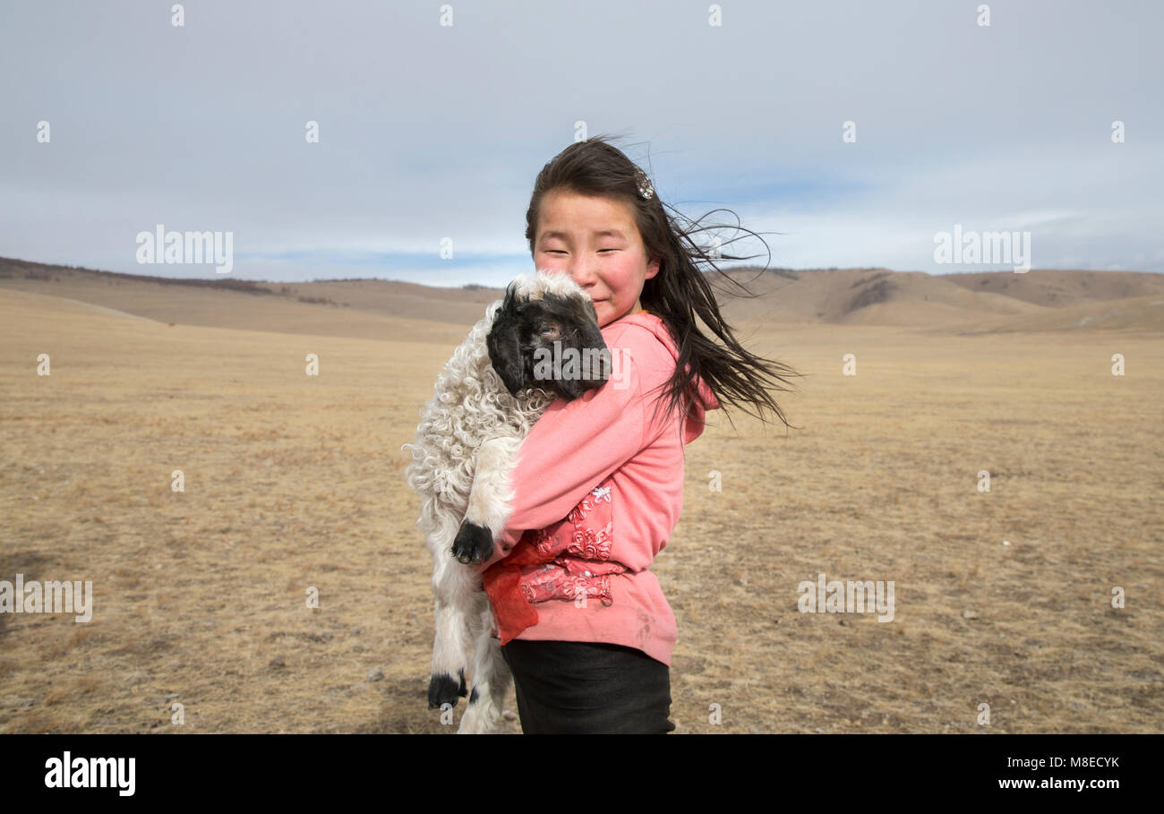 Hatgal, la Mongolie, le 2 mars 2018 : nomade mongol fille avec son animal de moutons dans une steppe Banque D'Images