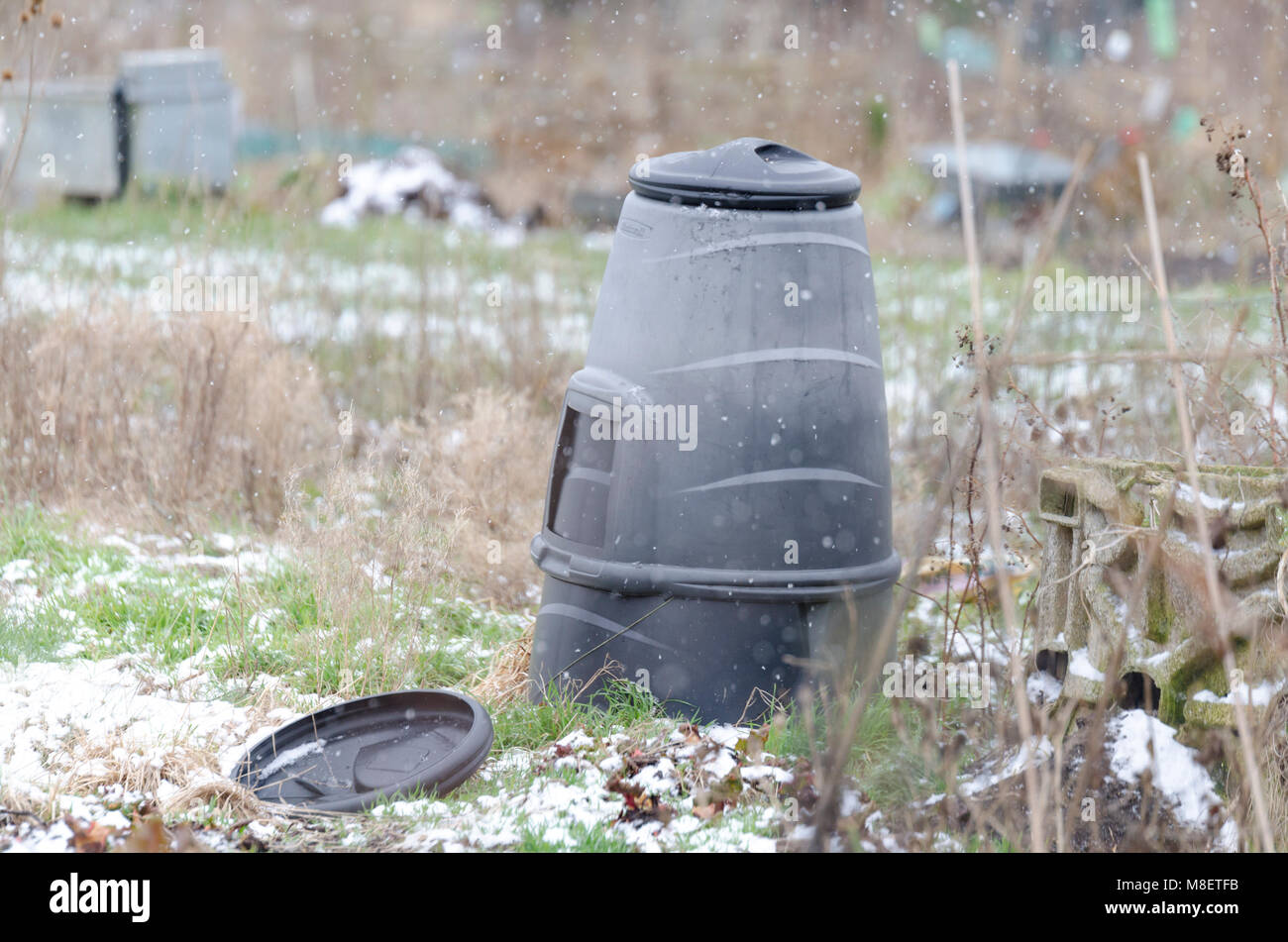 Fine couche de neige de l'hiver sur un allotissement dans South Cambridgeshire, Royaume-Uni Banque D'Images