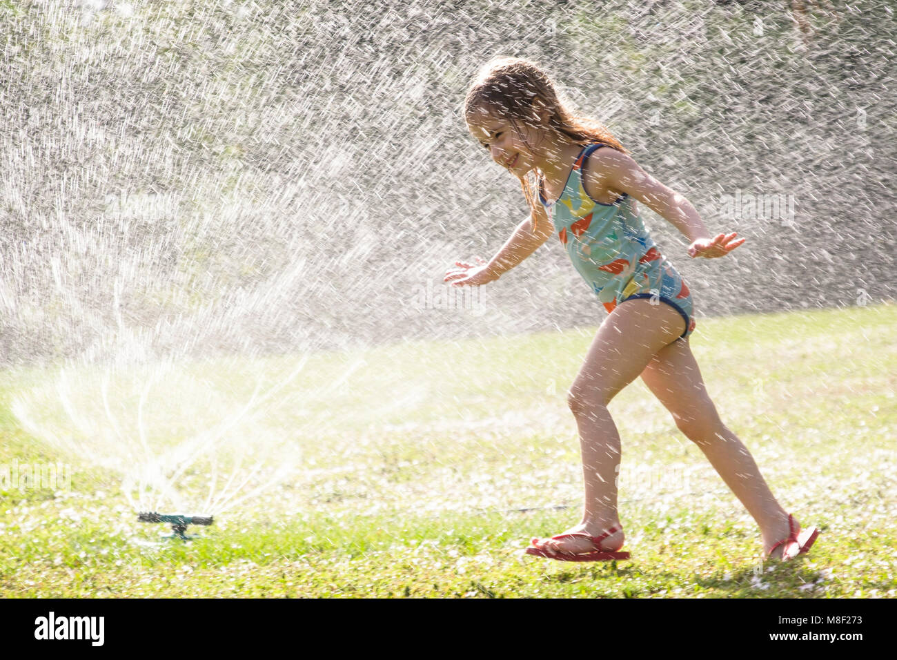 Girl (4-5) s'éclabousser dans l'eau du sprinkleur sur pelouse Banque D'Images