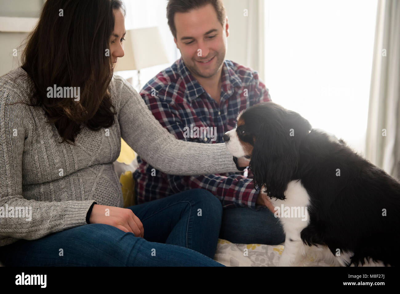 Young couple relaxing with puppy Banque D'Images Young couple relaxing with puppy Banque D'Images
