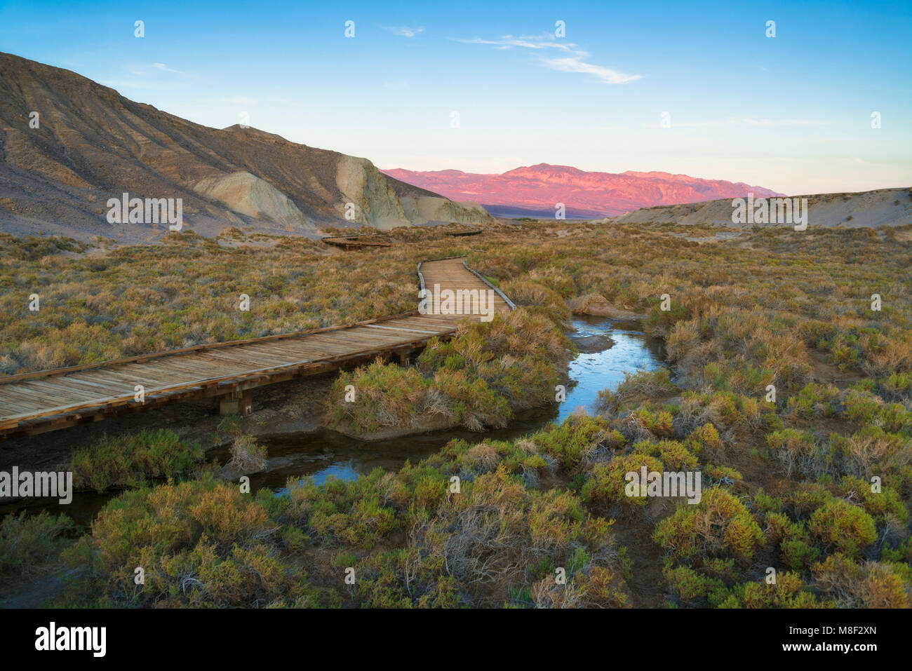 États-unis, Californie, Death Valley National Park, Salt Creek, une promenade à côté de stream Banque D'Images
