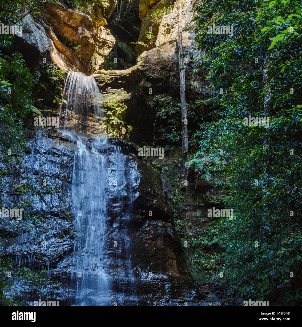 L'Australie, Nouvelle Galles du Sud, Cascade appelée Wentworth Falls Banque D'Images
