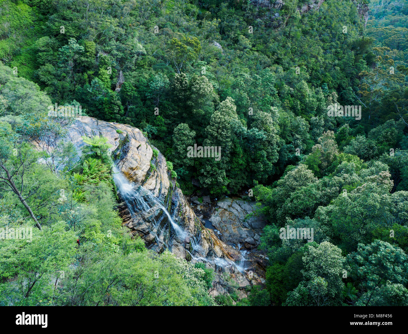 L'Australie, Nouvelle Galles du Sud, paysage de montagnes bleues Banque D'Images