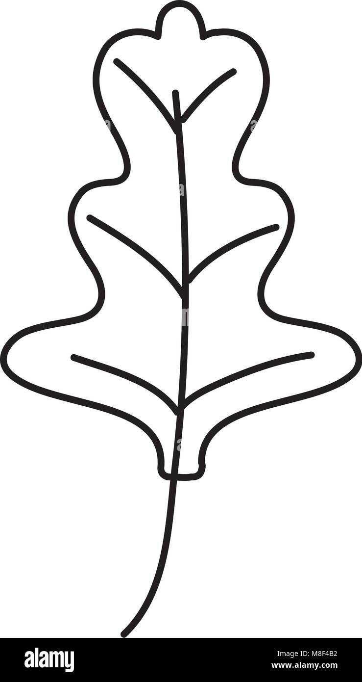 Feuilles de radis ligne nature plante tropicale Illustration de Vecteur