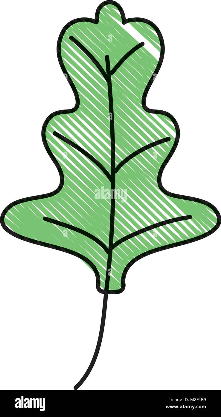 Feuilles de radis doodle nature plante tropicale Illustration de Vecteur