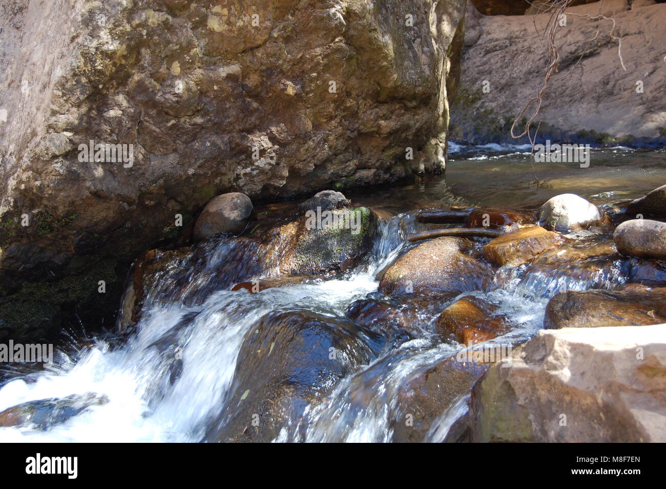 L'exécution de flux d'eau douce, Mpumalanga, Afrique du Sud Banque D'Images