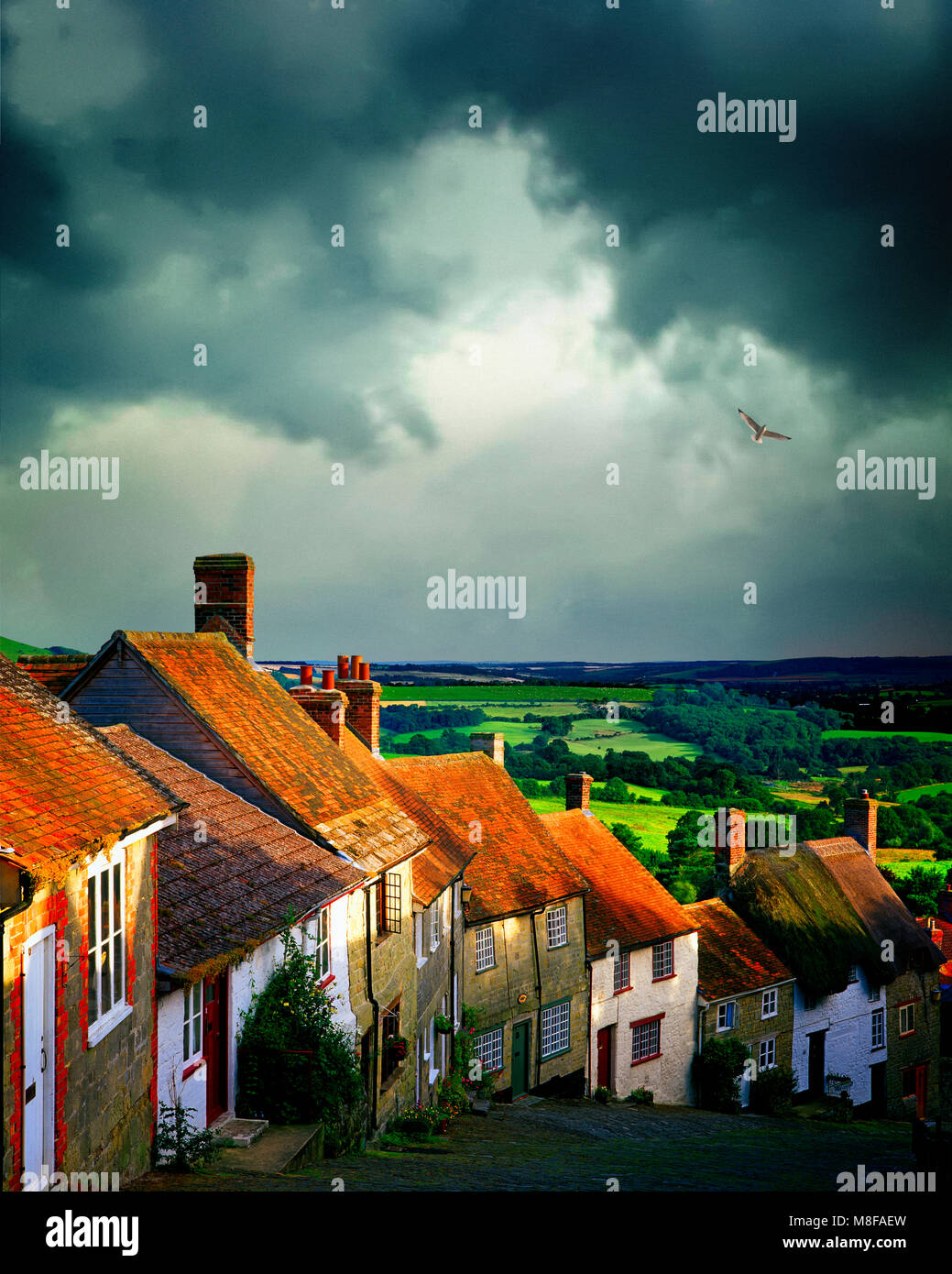 Go - DORSET : Gold Hill au Shaftesbury Banque D'Images