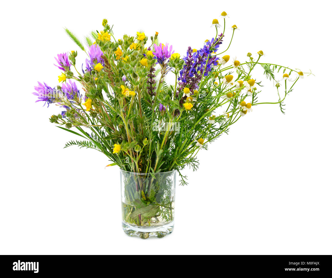 Variété de fleurs sauvages dans un verre isolé sur fond blanc. Banque D'Images
