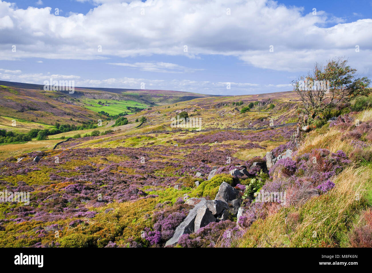 Westerdale North York Moors North Yorkshire Banque D'Images