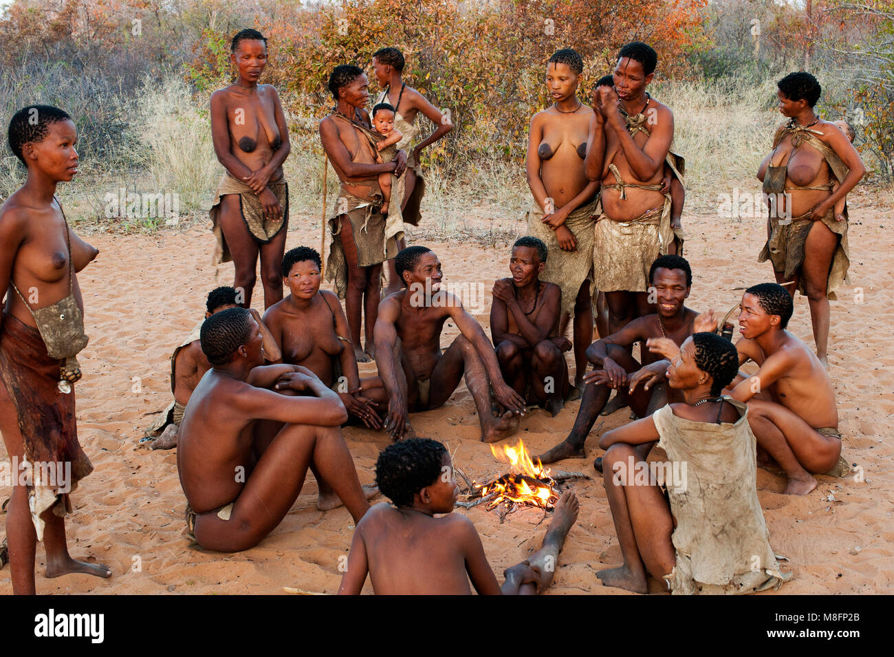 Ju/'hoansi bushmen San ou chasseurs dans la brousse africaine. De nombreux  touristes venus visiter puis au Musée vivant à Grashoek, Namibie Photo  Stock - Alamy