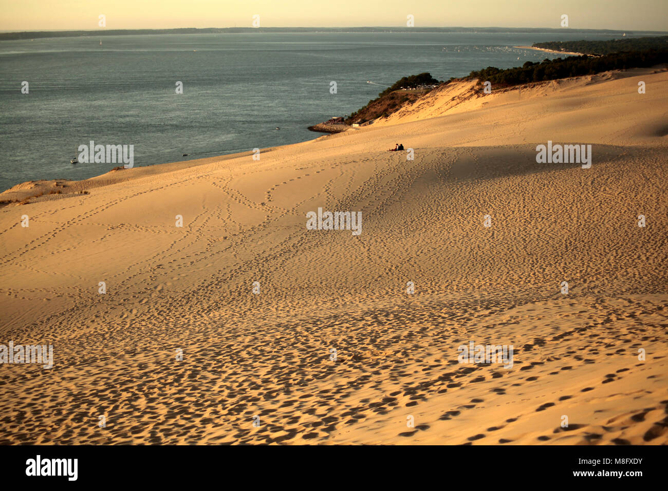 Grande dune du Pilat, du pays du Buch Banque D'Images