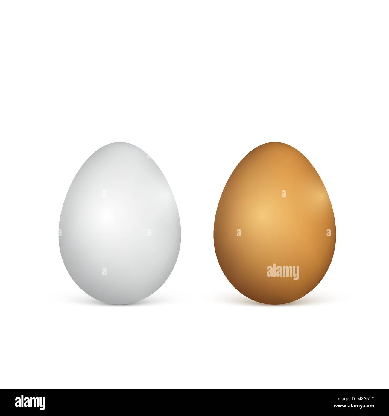 Les œufs blancs et bruns. 3D réalistes les oeufs de poule. Vector illustration isolé sur fond blanc Illustration de Vecteur