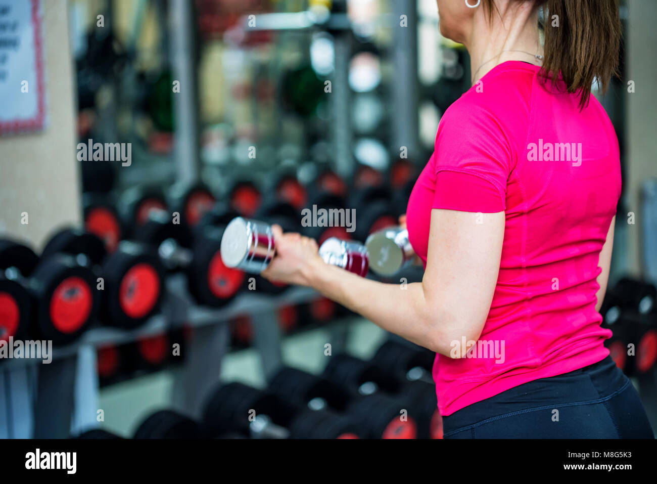 Jeune femme Vue de dos biceps trains in gym Banque D'Images