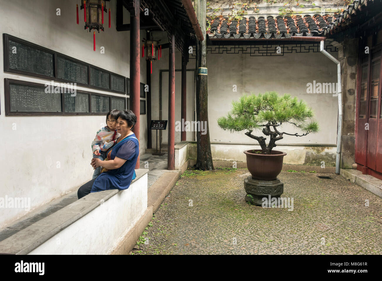 Petite cour avec arbre de bonzaies, Liu Yuan, jardin classique Souzhou, Chine Banque D'Images