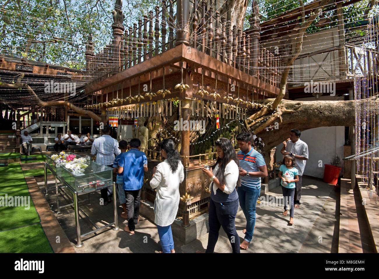 La population locale dans la prière autour de l'arbre à la Bo (Gangaramaya Temple bouddhiste Vihara) à Colombo, Sri Lanka. Banque D'Images
