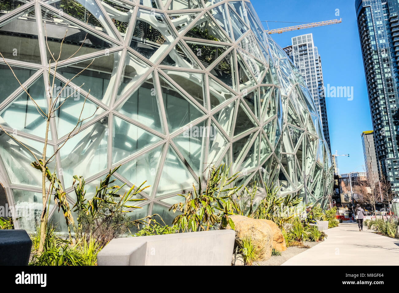 Le dôme en verre Domaines sur Amazon siège en centre-ville de Seattle Banque D'Images