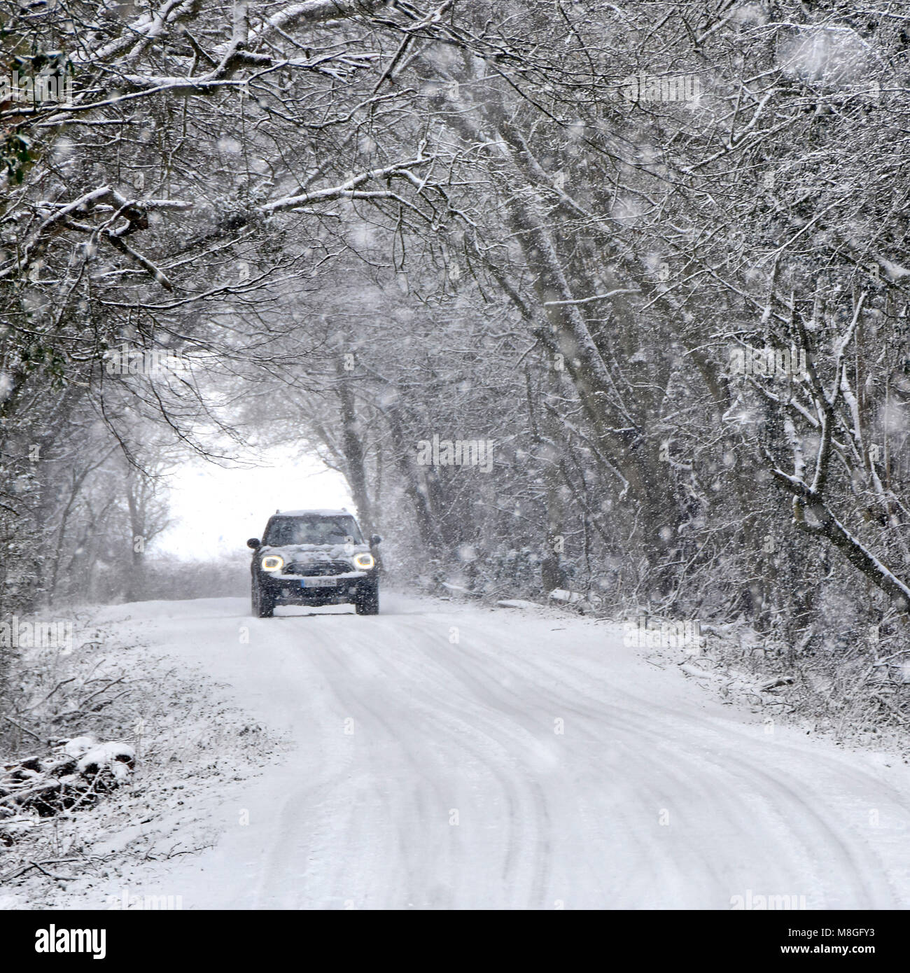 Les phares de voitures sur la conduite dans la neige qui tombe on country road tunnel arbre couvert de neige neige scène forestiers mauvais hiver météo England UK Banque D'Images