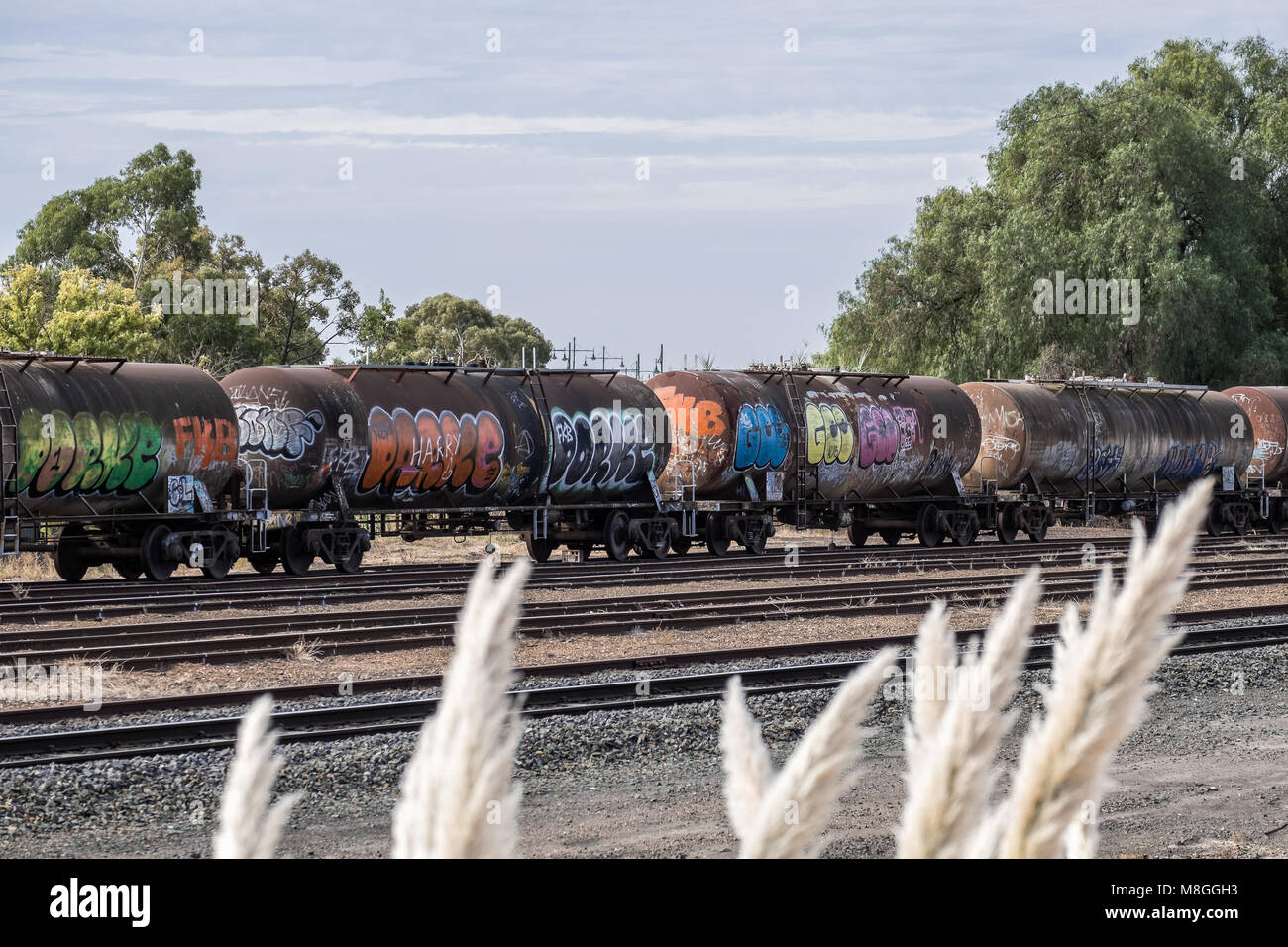Graffiti Train de marchandises à Bendigo, Victoria, Australie Banque D'Images