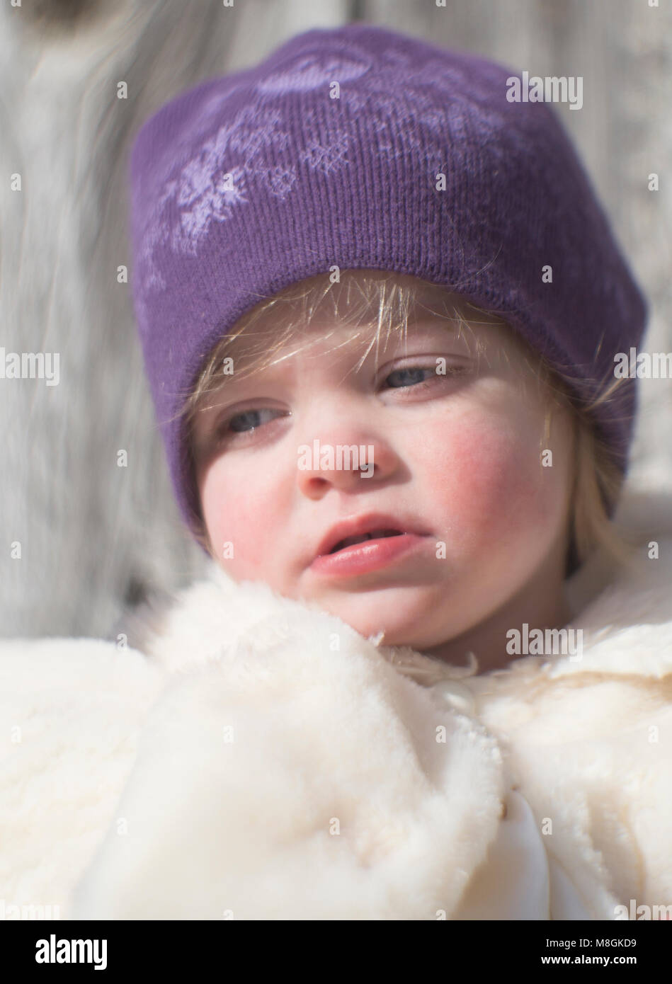 Portrait d'hiver en plein air candide d'une petite fille aux cheveux blonds, des yeux bleus et des joues roses, portant une veste blanche et d'une chaussette mauve pac. Banque D'Images