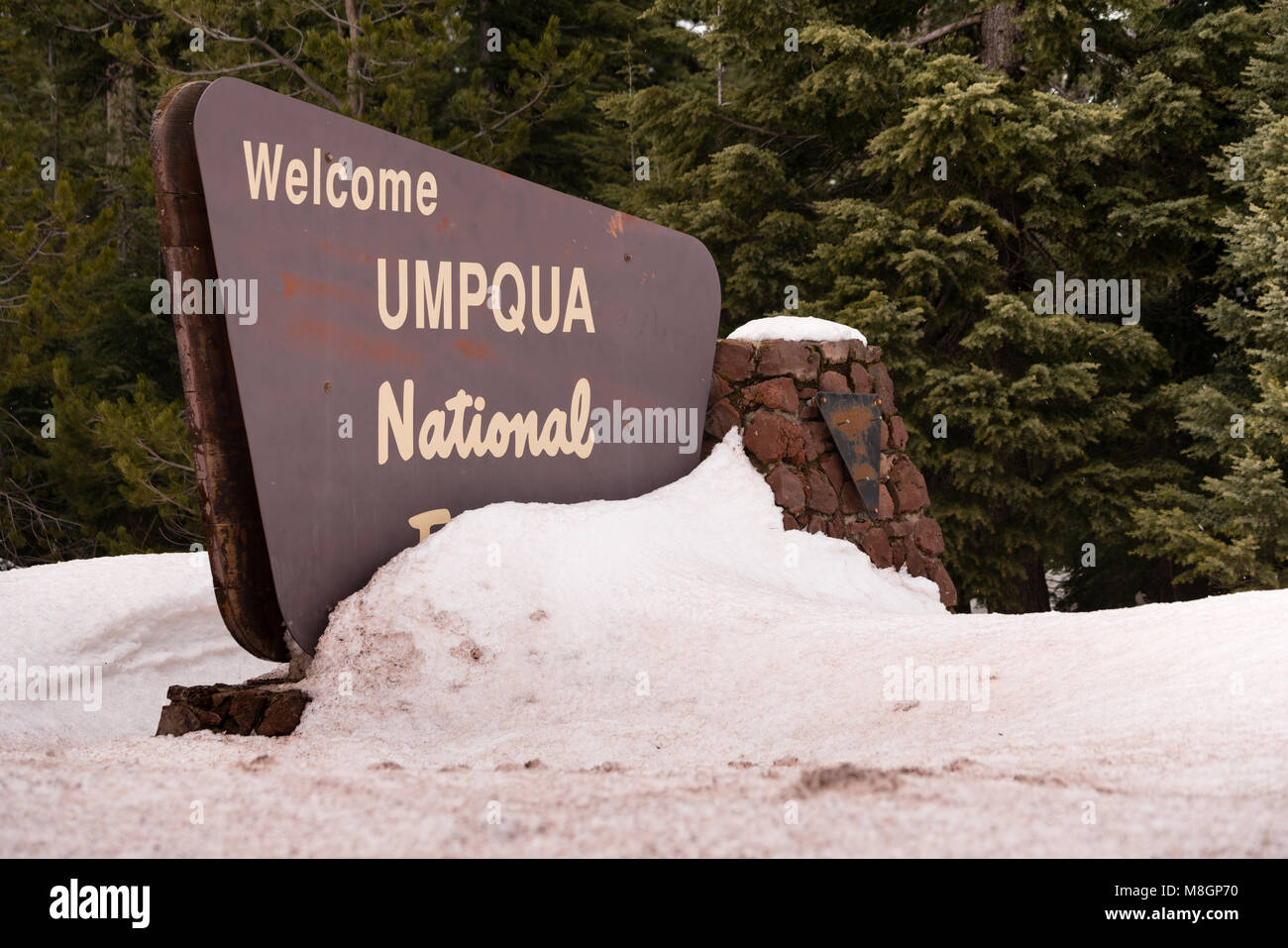Neige fraîche couvrant la frontière marqueur entrant dans la forêt nationale d'Umpqua Oregon Banque D'Images