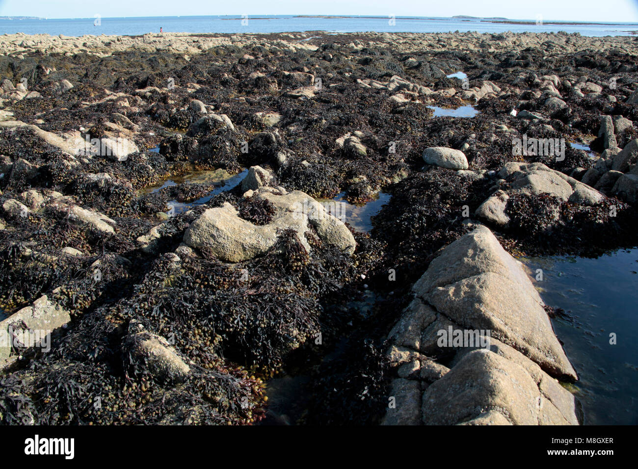 Karnac, Bretange, France Banque D'Images