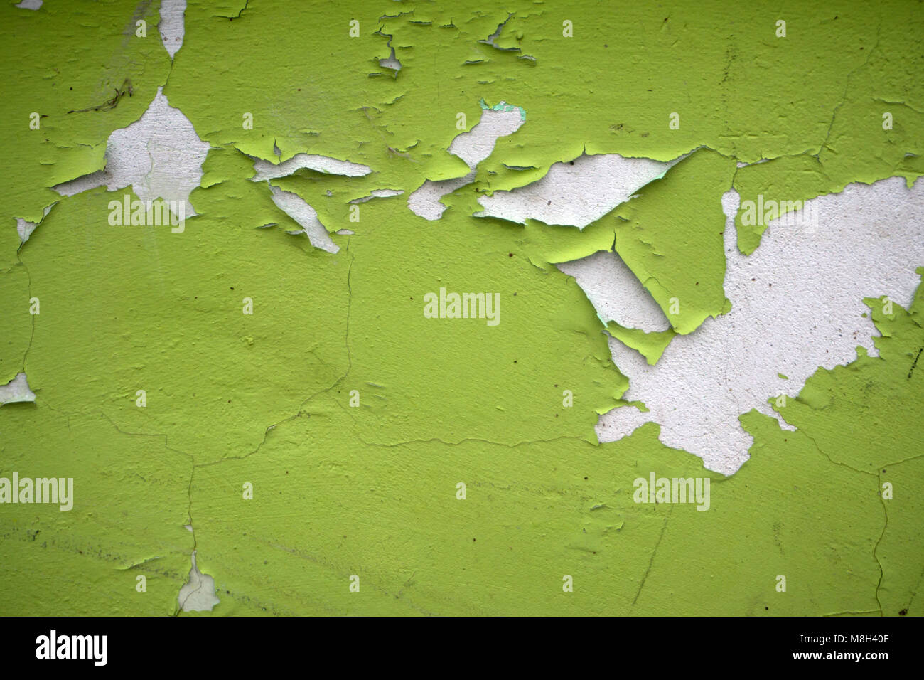 Ancienne peinture blanche floconneuse décollant d'un mur fissuré grungy Banque D'Images