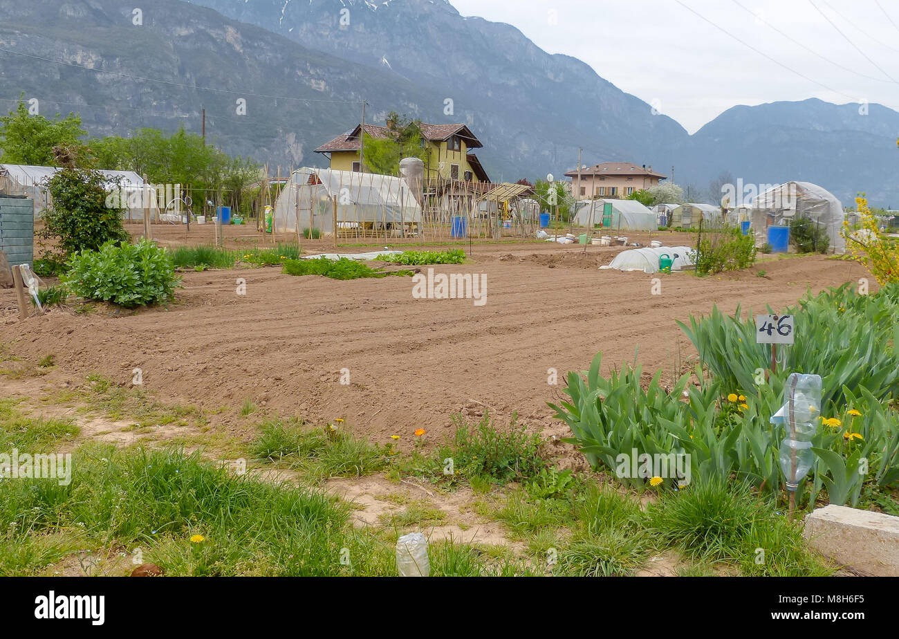 Groupe de parcelles d'allotissement où les terres sont caniées pour les retraités de cultiver là-bas propres légumes comme passe-temps - trente, le nord de l'Italie, l'Europe Banque D'Images