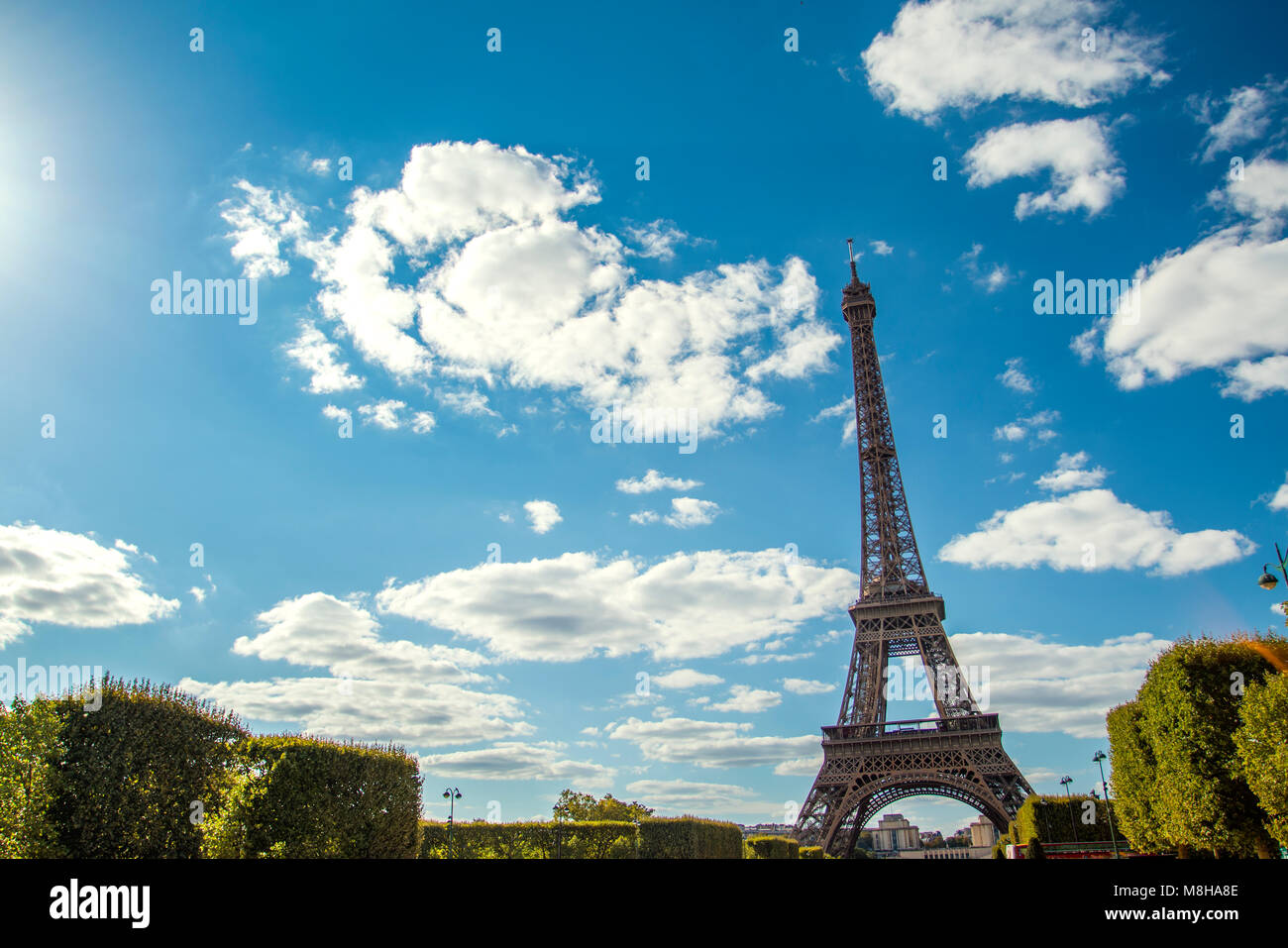 Belle vue de la tour Eiffel parmi les arbres verdoyants en été vert sur fond de ciel bleu Banque D'Images