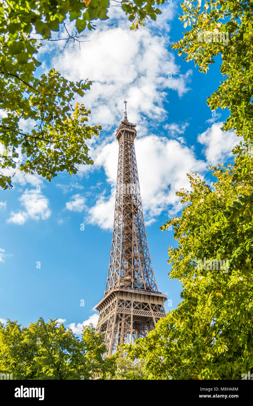 À partir de ci-dessous photo de la tour Eiffel en été, vert des arbres sur fond bleu ciel clair Banque D'Images