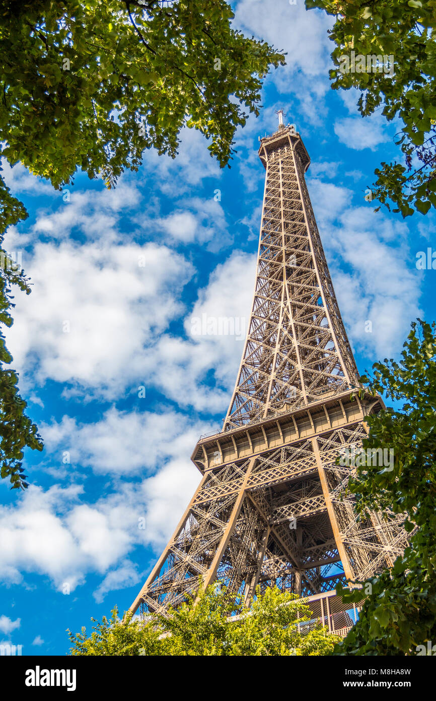 À partir de ci-dessous photo de la tour Eiffel en été, vert des arbres sur fond bleu ciel clair Banque D'Images