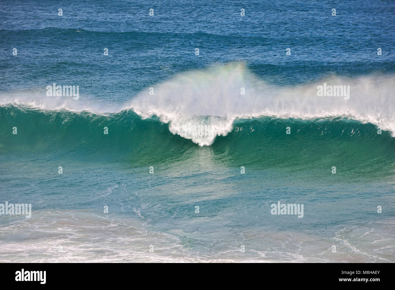 Une belle vague en côte de Carrapateira. Du Sud-Ouest Alentejano et Costa Vicentina Nature Park, la plus sauvage de la côte atlantique en Europe. Portugal Banque D'Images
