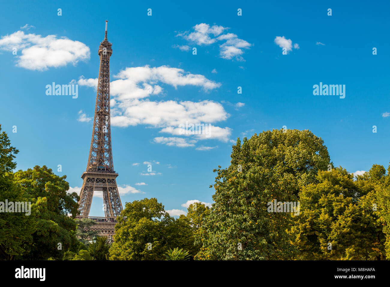 Belle vue de la tour Eiffel parmi les arbres verdoyants en été vert sur fond de ciel bleu Banque D'Images