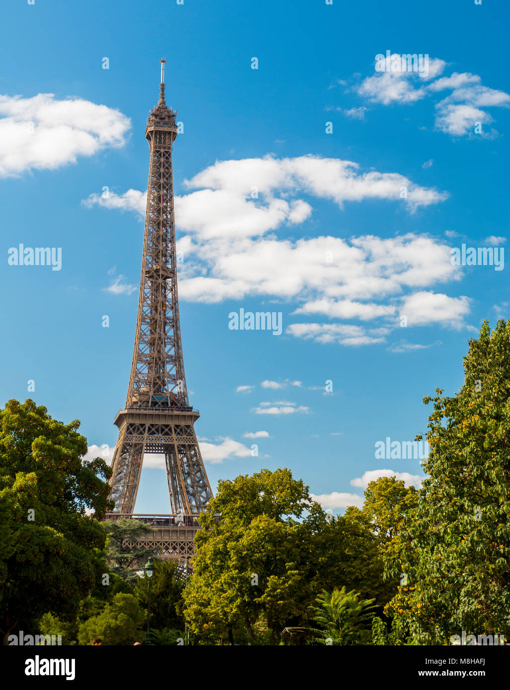 Belle vue de la tour Eiffel parmi les arbres verdoyants en été vert sur fond de ciel bleu Banque D'Images