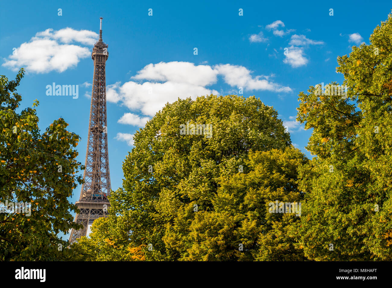 Belle vue de la tour Eiffel parmi les arbres verdoyants en été vert sur fond de ciel bleu Banque D'Images