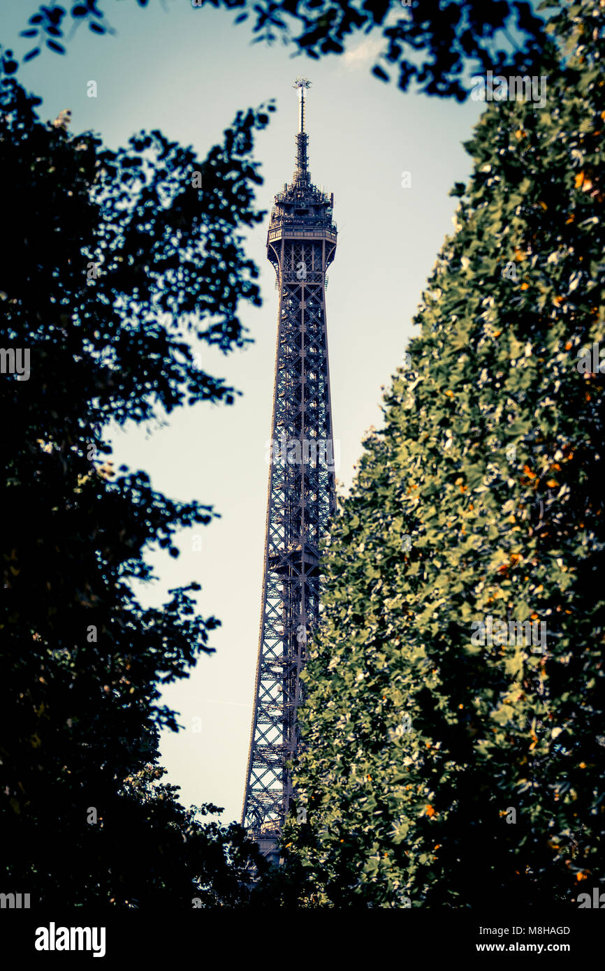 À partir de ci-dessous photo de la tour Eiffel en été, vert des arbres sur fond bleu ciel clair Banque D'Images