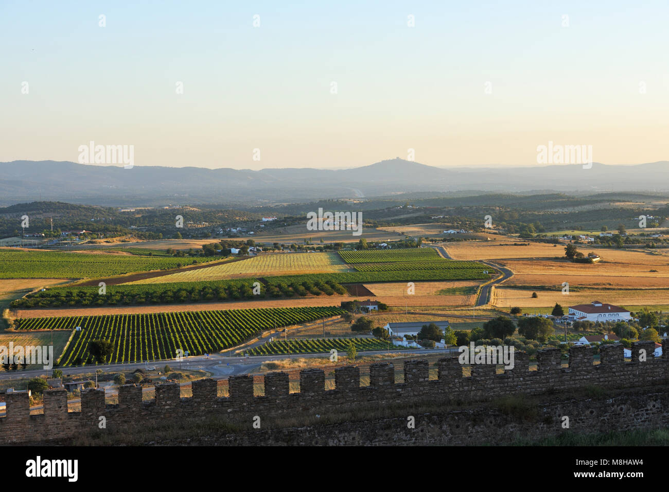 Les vastes plaines de l'Alentejo vu de la ville fortifiée d''Estremoz. Portugal Banque D'Images