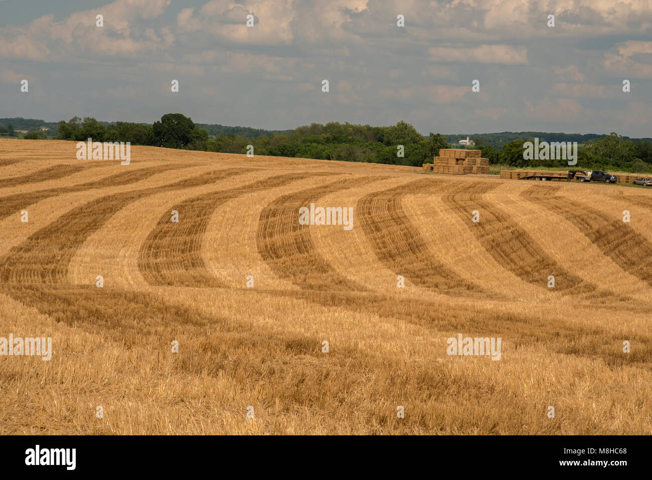 La récolte du foin sur la ferme est pittoresque montrant les courbes de bandes alternées de couleurs après la tonte dans des directions différentes. Bailes de foin Banque D'Images
