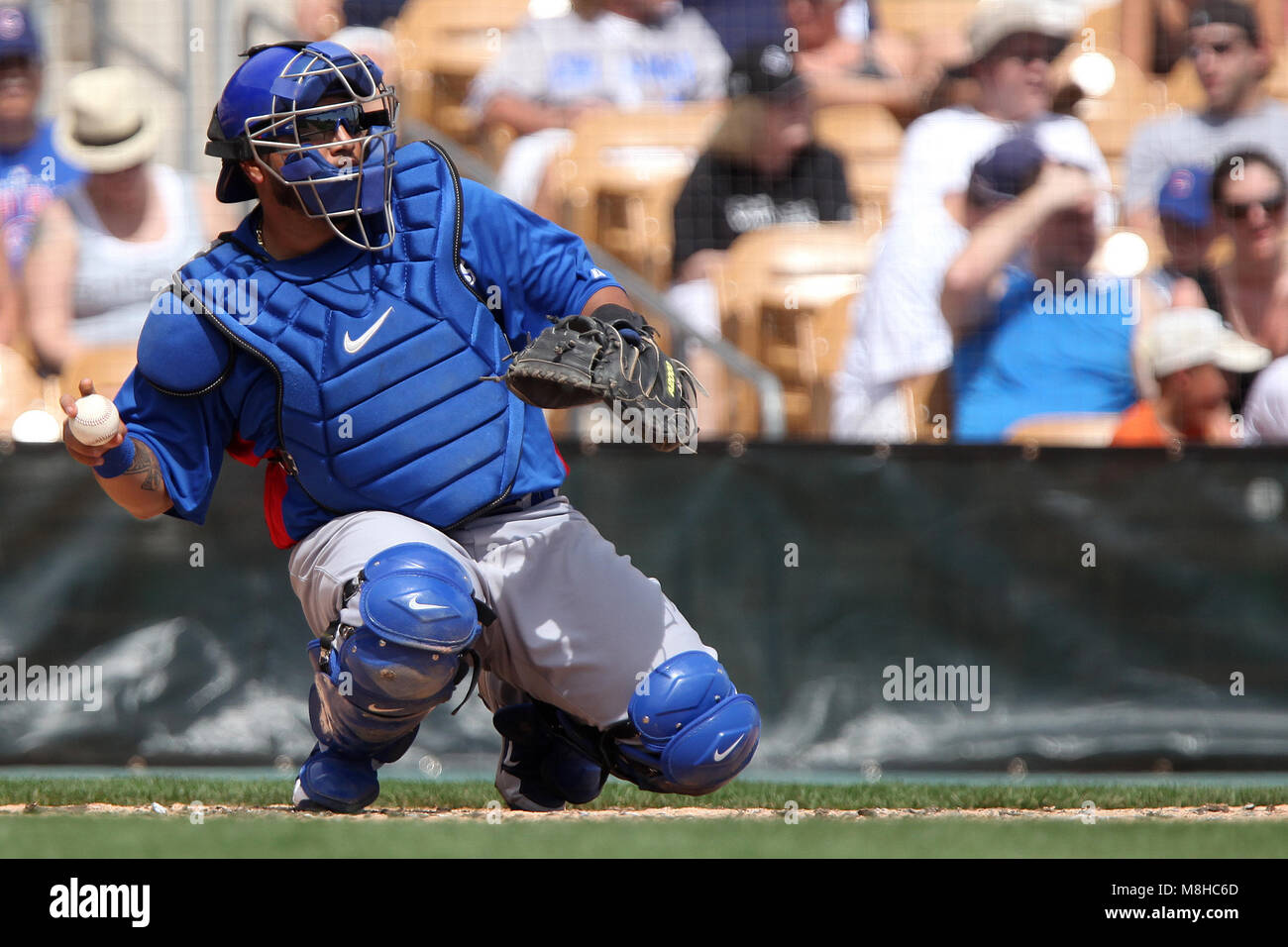 Glendale, Phoenix. USA.- Dioner Navarro receptor de Chicago Cubs en el campo de entrenamiento Camelback Ranch en juego contra White Sox de Chicago.13/03/ Banque D'Images